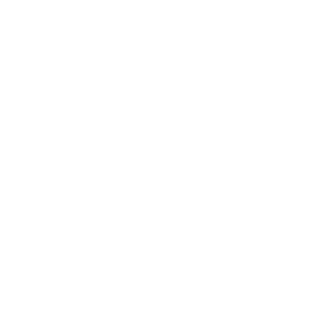 Logo Codepulse